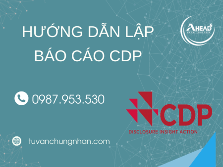 HƯỚNG DẪN LẬP BÁO CÁO CDP THÀNH CÔNG