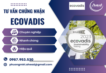 Chứng nhận EcoVadis là gì? Tiêu chuẩn xếp hạng kinh doanh bền vững