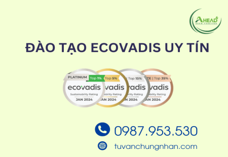 Đào tạo EcoVadis uy tín và chuyên nghiệp với chuyên gia hàng đầu