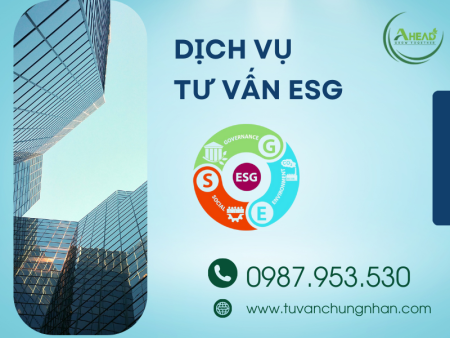 Dịch vụ tư vấn ESG chuyên nghiệp, chất lượng cho mọi tổ chức