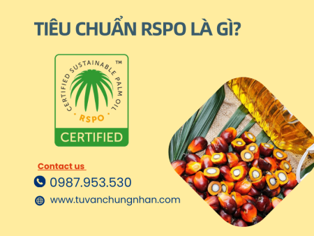 Tiêu chuẩn RSPO là gì? Yêu cầu xã hội môi trường sản xuất dầu cọ