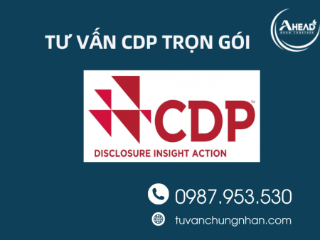 Tư vấn CDP trọn gói, thành công với đội ngũ chuyên gia AHEAD