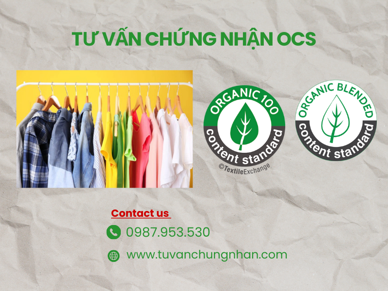 Tư vấn chứng nhận OCS với chuyên gia hơn 20 năm kinh nghiệm