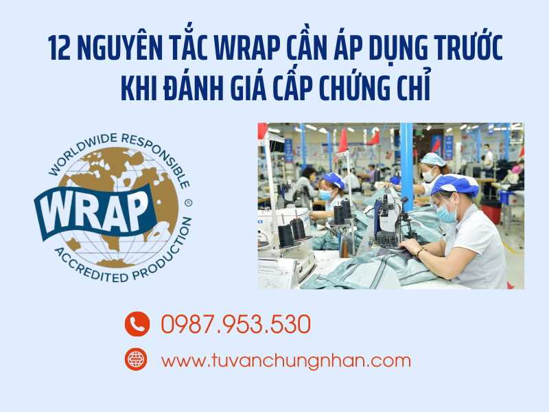 12 nguyên tắc WRAP cần áp dụng trước khi đánh giá cấp chứng chỉ- ảnh 1