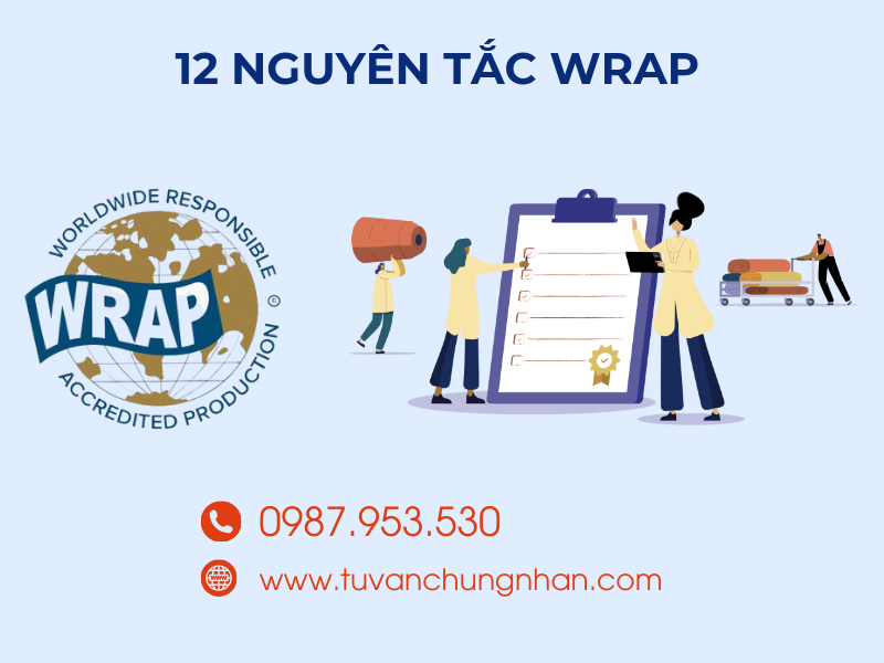 12 nguyên tắc WRAP cần áp dụng trước khi đánh giá cấp chứng chỉ- ảnh 3