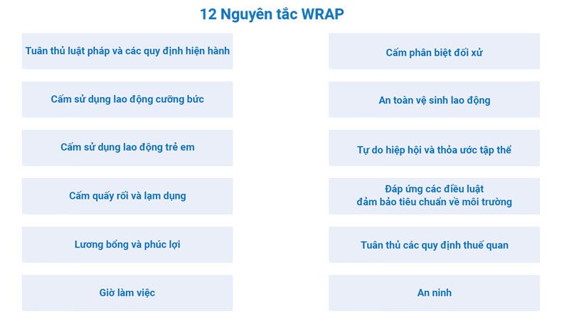 12 nguyên tắc WRAP cần áp dụng trước khi đánh giá cấp chứng chỉ- ảnh 2