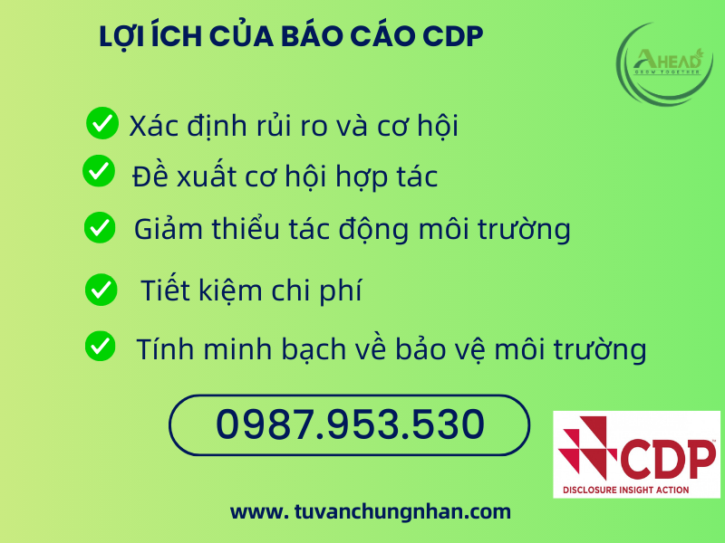 hướng dẫn lập báo cáo cdp thành công- ảnh 4