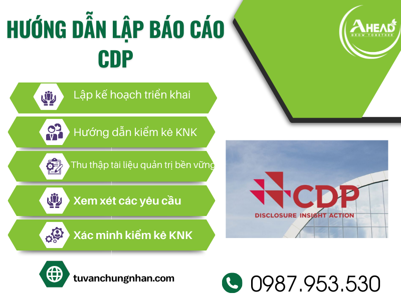 hướng dẫn lập báo cáo cdp thành công- ảnh 7