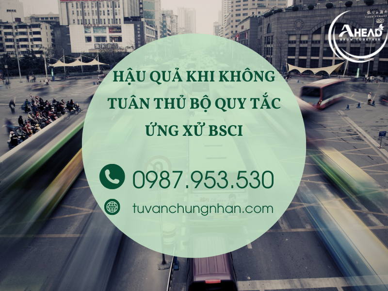 Bộ quy tắc ứng xử BSCI mới nhất 2024 với 11 danh mục cần tuân thủ - Ảnh 4