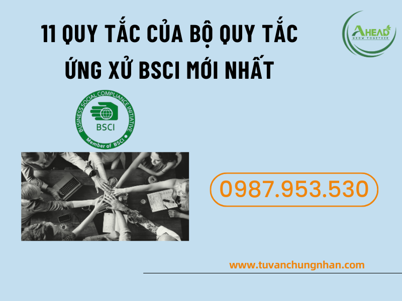 Bộ quy tắc ứng xử BSCI mới nhất 2024 với 11 danh mục cần tuân thủ - Ảnh 2