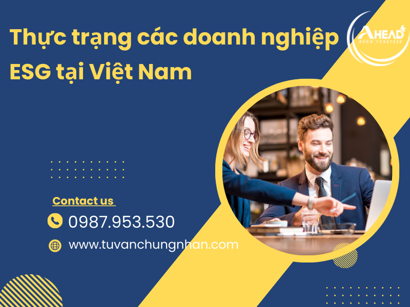 thực trạng các doanh nghiệp esg tại việt nam- ảnh 1