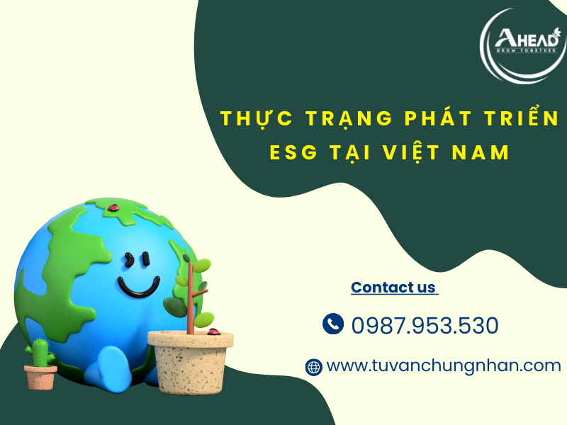 thực trạng các doanh nghiệp esg tại việt nam- ảnh 2