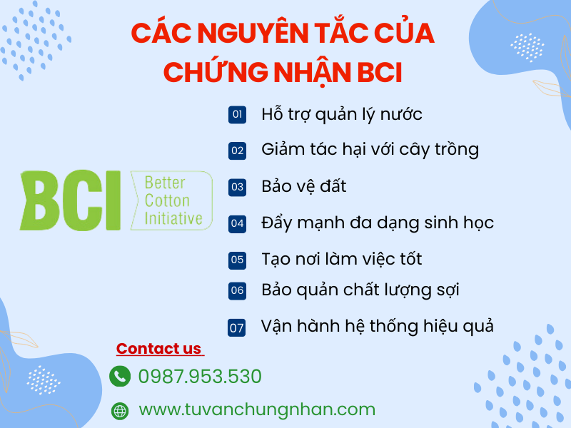 Chứng nhận BCI- Sáng kiến bông tốt hơn cho ngành dệt may- ảnh 2