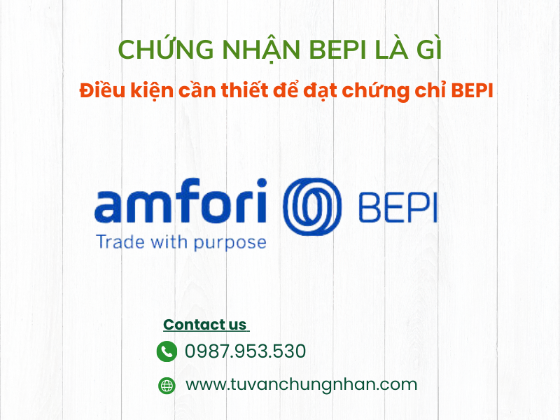 Chứng nhận BEPI là gì? Điều kiện cần thiết để đạt chứng chỉ BEPI  - ảnh 1