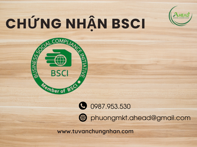 chứng nhận bsci về trách nhiệm xã hội- ảnh 2