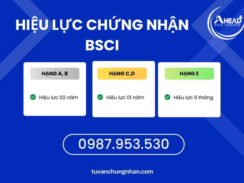 chứng nhận bsci về trách nhiệm xã hội- ảnh 3