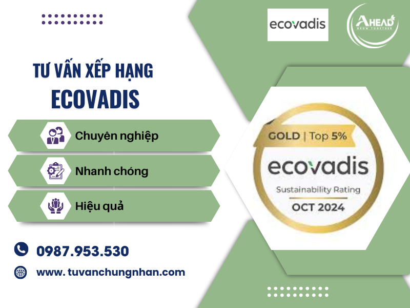 Chứng nhận EcoVadis là gì? Tiêu chuẩn xếp hạng kinh doanh bền vững - Ảnh 1