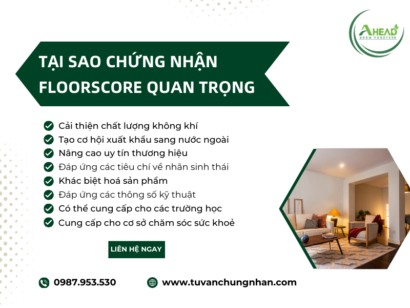 Chứng nhận FloorScore cho các vật liệu sàn tạo cơ hội xuất khẩu- Ảnh 2