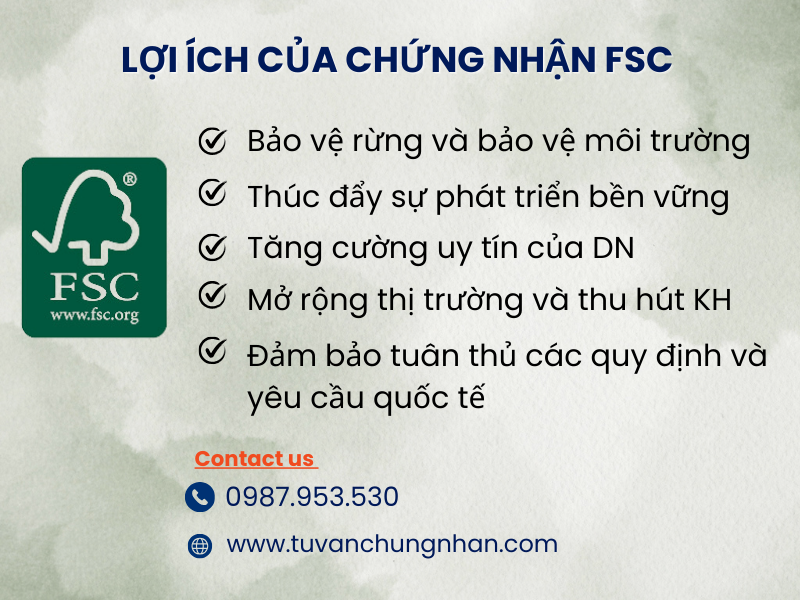 Chứng nhận FSC CoC: Lợi ích và tầm quan trọng trong ngành gỗ- ảnh 2