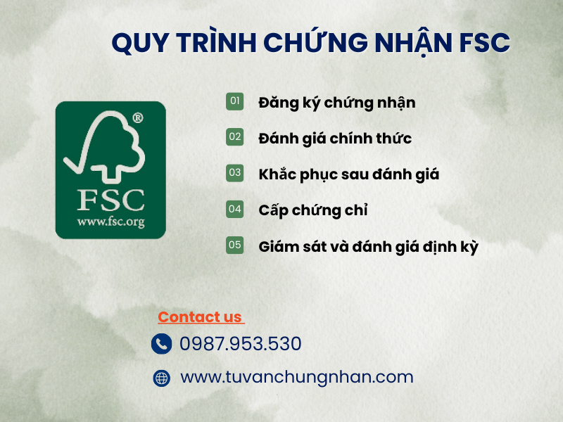 Chứng nhận FSC CoC: Lợi ích và tầm quan trọng trong ngành gỗ- ảnh 3