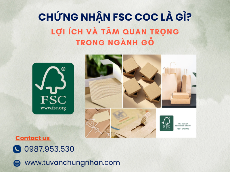 Chứng nhận FSC CoC: Lợi ích và tầm quan trọng trong ngành gỗ