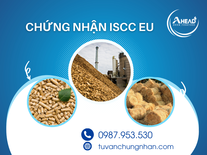 Chứng nhận ISCC EU là gì? Yêu cầu chỉ thị năng lượng tái tạo mới - Ảnh 1