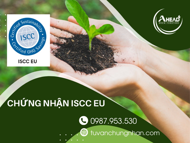 Chứng nhận ISCC EU là gì? Yêu cầu chỉ thị năng lượng tái tạo mới - Ảnh 3