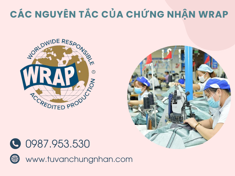 Chứng nhận WRAP cho ngành dệt may uy tín, nhanh chóng- ảnh 2