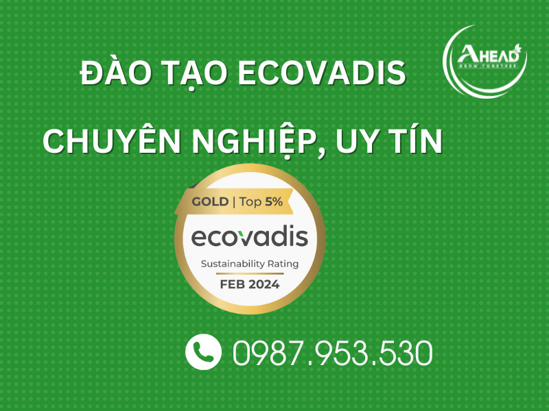 đào tạo ecovadis