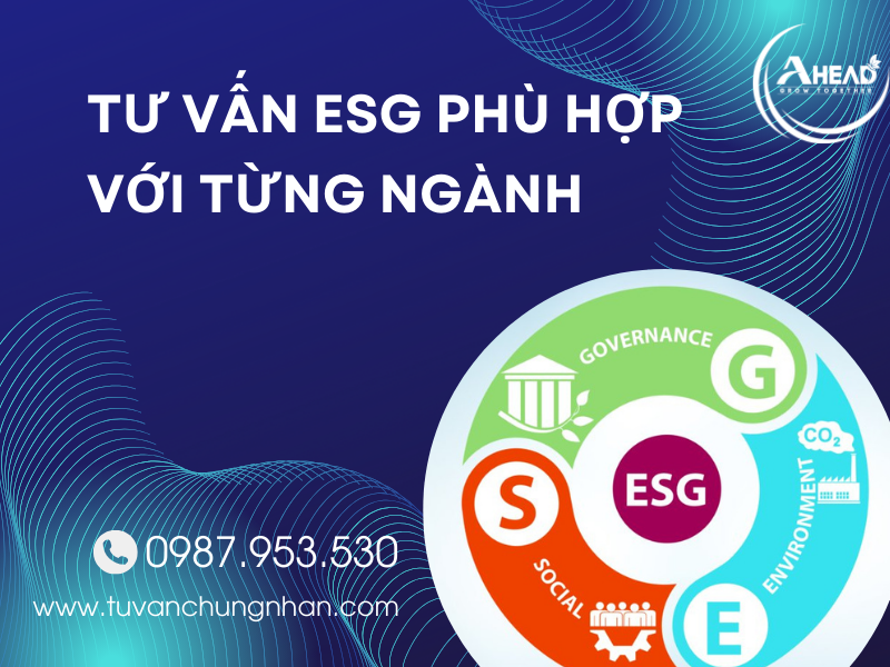 Dịch vụ tư vấn ESG chuyên nghiệp, chất lượng cho mọi tổ chức - Ảnh 3