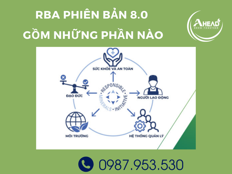 Tiêu chuẩn RBA 8.0 phiên bản mới nhất có gì khác biệt với bản cũ - Ảnh 2