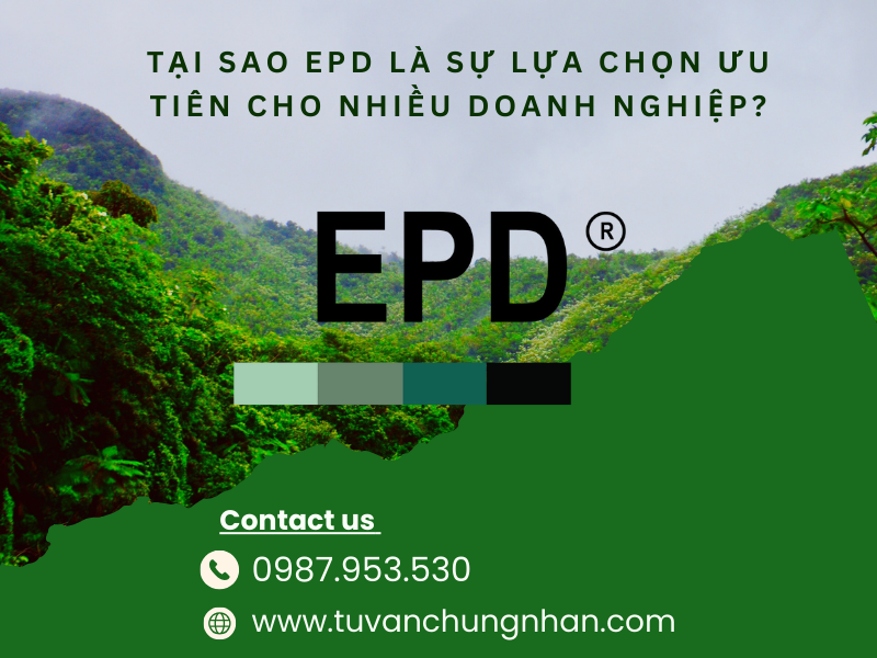 Tiêu chuẩn EPD là gì?  Các bước để đạt được chứng nhận EPD - Ảnh 4