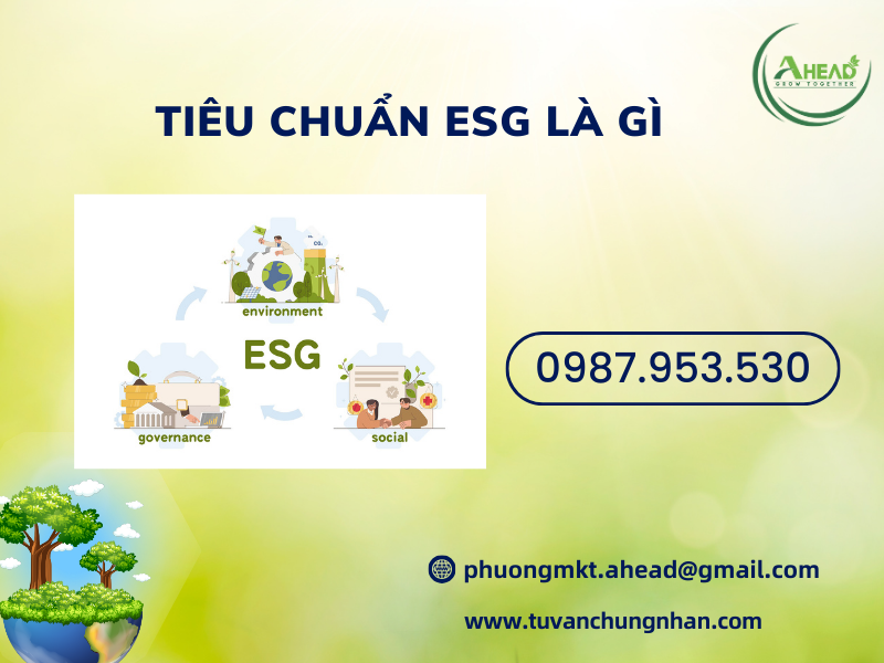 Tiêu chuẩn ESG là gì? 3 Tiêu chí quan trọng doanh nghiệp cần biết - ảnh 1