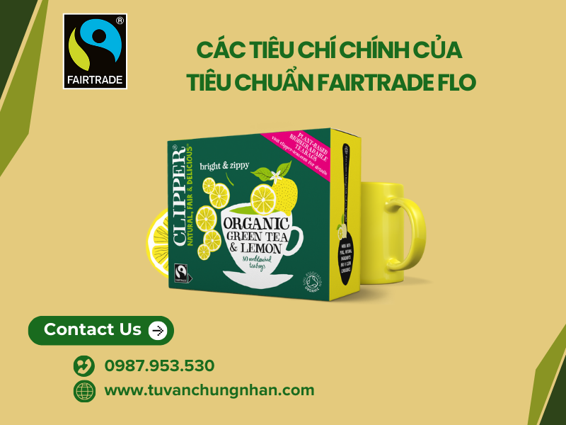 Tiêu chuẩn Fairtrade FLO là gì? Tuân thủ các khía cạnh về xã hội - Ảnh 2