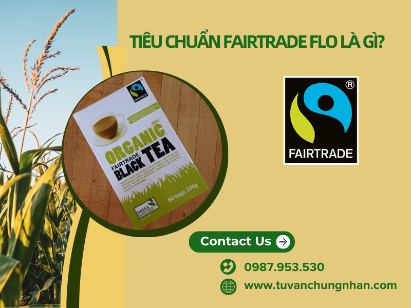 Tiêu chuẩn Fairtrade FLO là gì? Tuân thủ các khía cạnh về xã hội - Ảnh 1