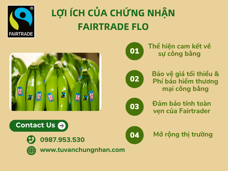 Tiêu chuẩn Fairtrade FLO là gì? Tuân thủ các khía cạnh về xã hội - Ảnh 3