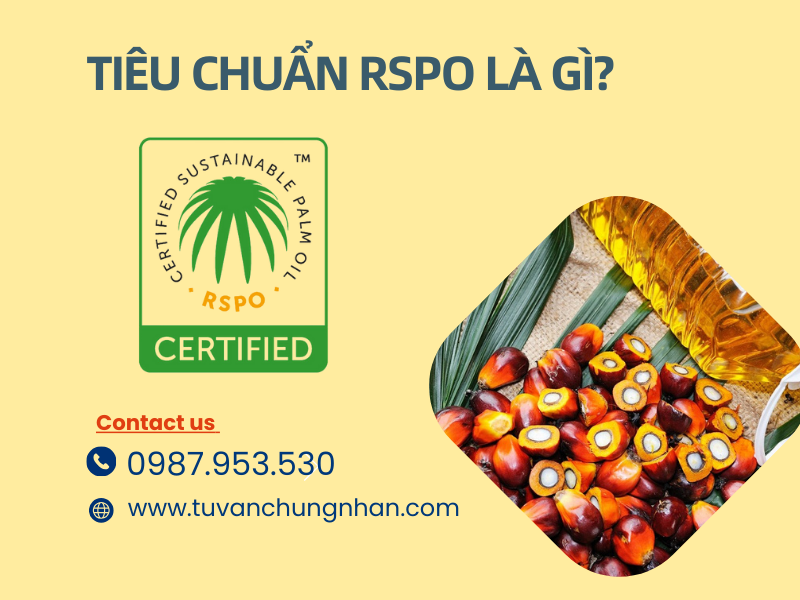 Tiêu chuẩn RSPO là gì? Yêu cầu xã hội môi trường sản xuất dầu cọ - ảnh 1