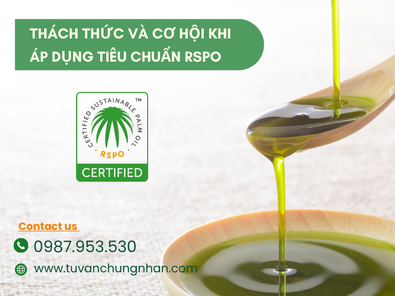 Tiêu chuẩn RSPO là gì? Yêu cầu xã hội môi trường sản xuất dầu cọ - ảnh 4