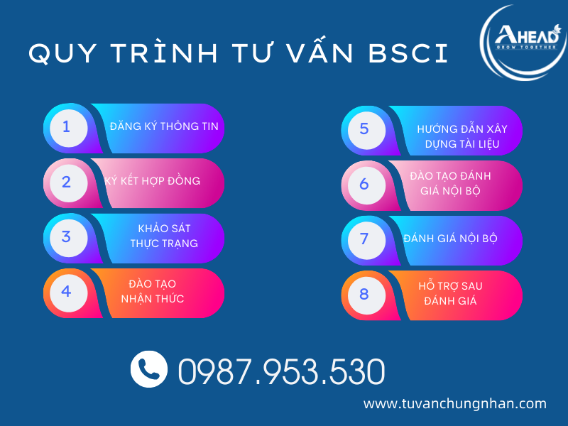 Tư vấn BSCI uy tín, trọn gói với chuyên gia 20 năm kinh nghiệm - Ảnh 3