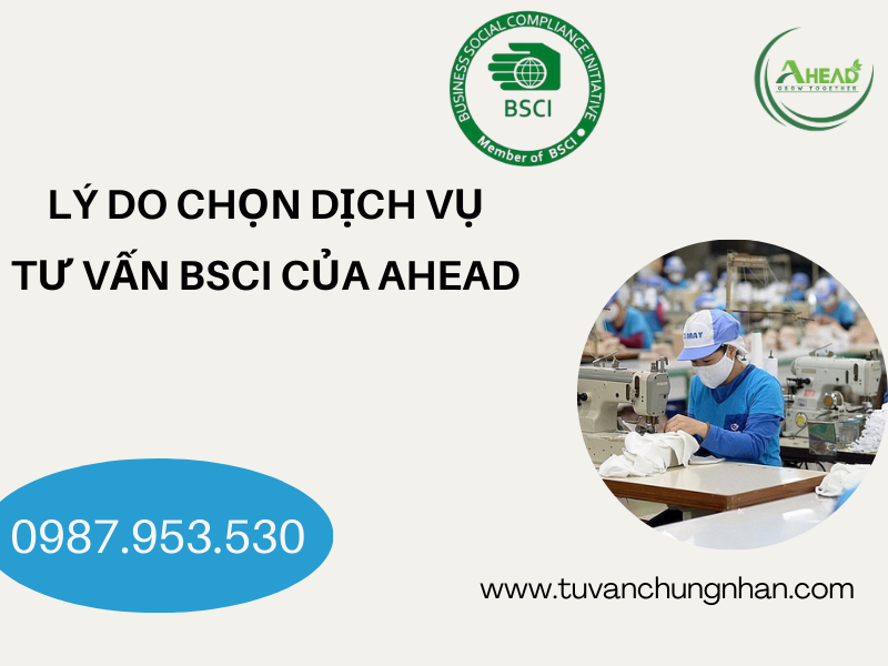 Tư vấn BSCI uy tín, trọn gói với chuyên gia 20 năm kinh nghiệm - Ảnh 2