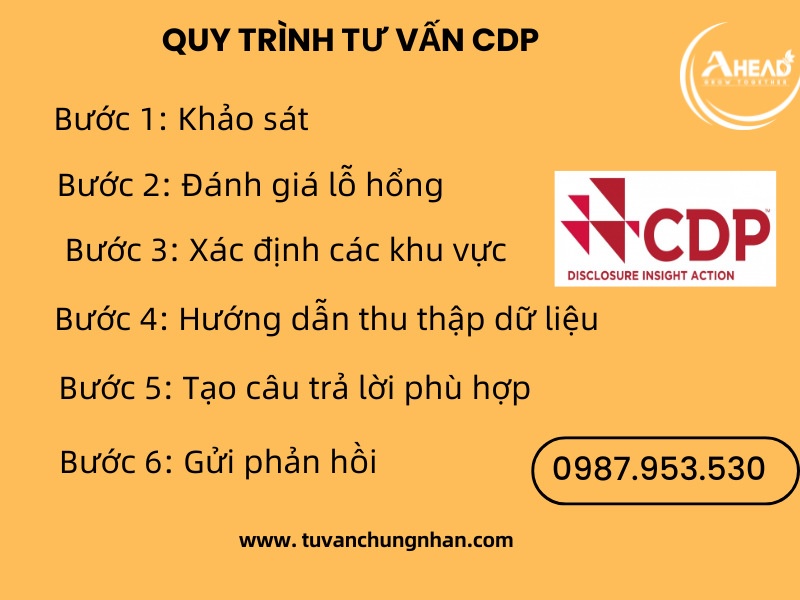 Tư vấn CDP trọn gói, thành công với đội ngũ chuyên gia AHEAD - Ảnh 2