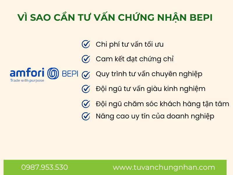 Tư vấn chứng nhận BEPI chuyên nghiệp, đội ngũ giàu kinh nghiệm - Ảnh 2