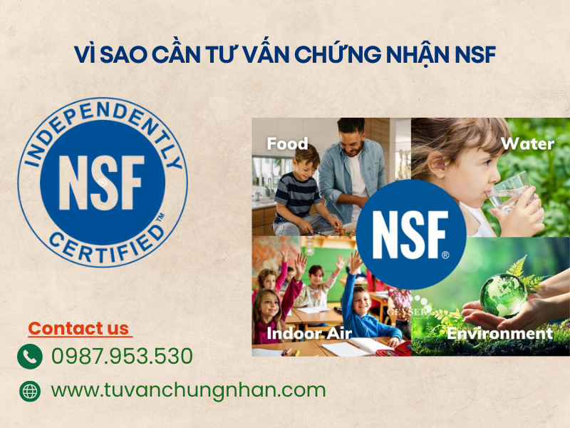 Tư vấn chứng nhận NSF chuyên nghiệp, chi phí tối ưu, cạnh tranh - Ảnh 2