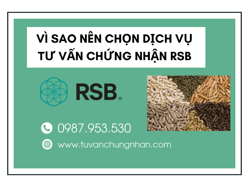 Tư vấn chứng nhận RSB chuyên nghiệp, cam kết đạt chứng chỉ- ảnh 2