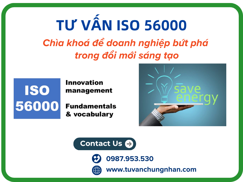 Tư vấn ISO 56000: Chìa khóa để doanh nghiệp bứt phá trong đổi mới sáng tạo- ảnh 1