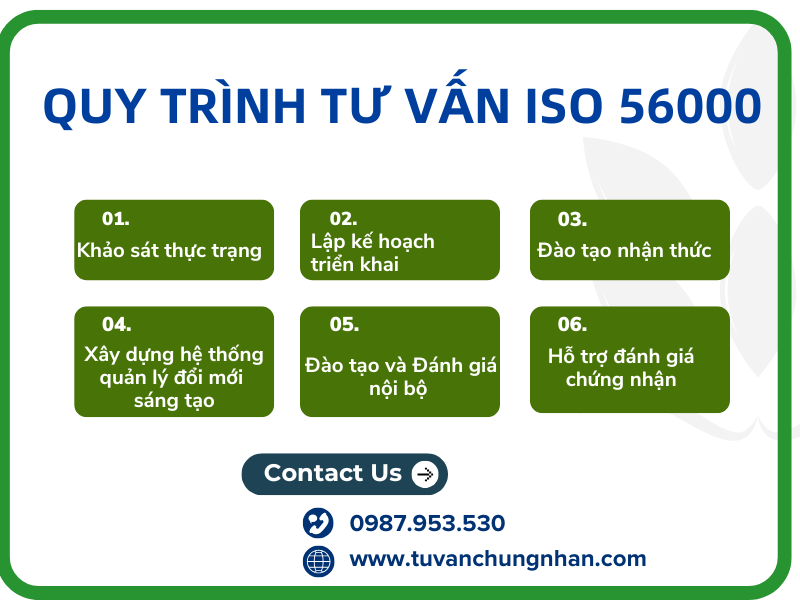 Tư vấn ISO 56000: Chìa khóa để doanh nghiệp bứt phá trong đổi mới sáng tạo- ảnh 2