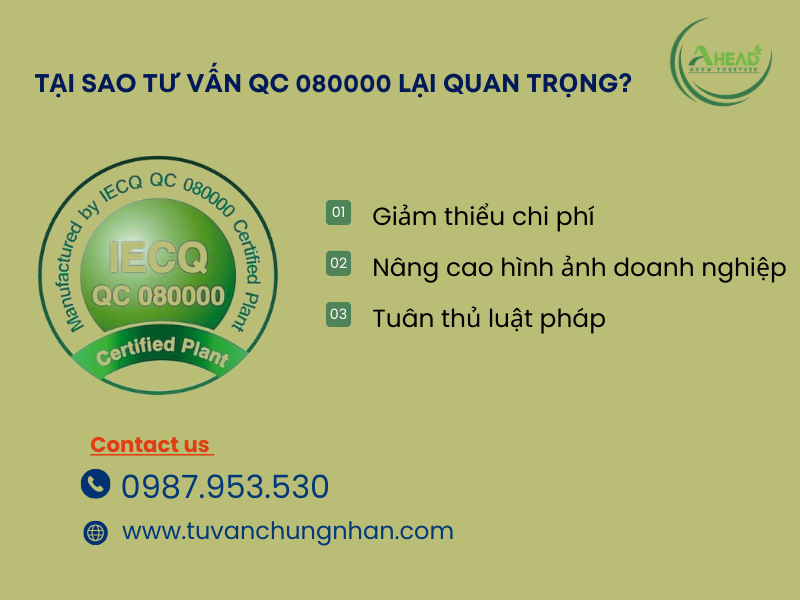 Tư vấn QC 080000 uy tín, cam kết đạt chứng chỉ cho doanh nghiệp - Ảnh 3